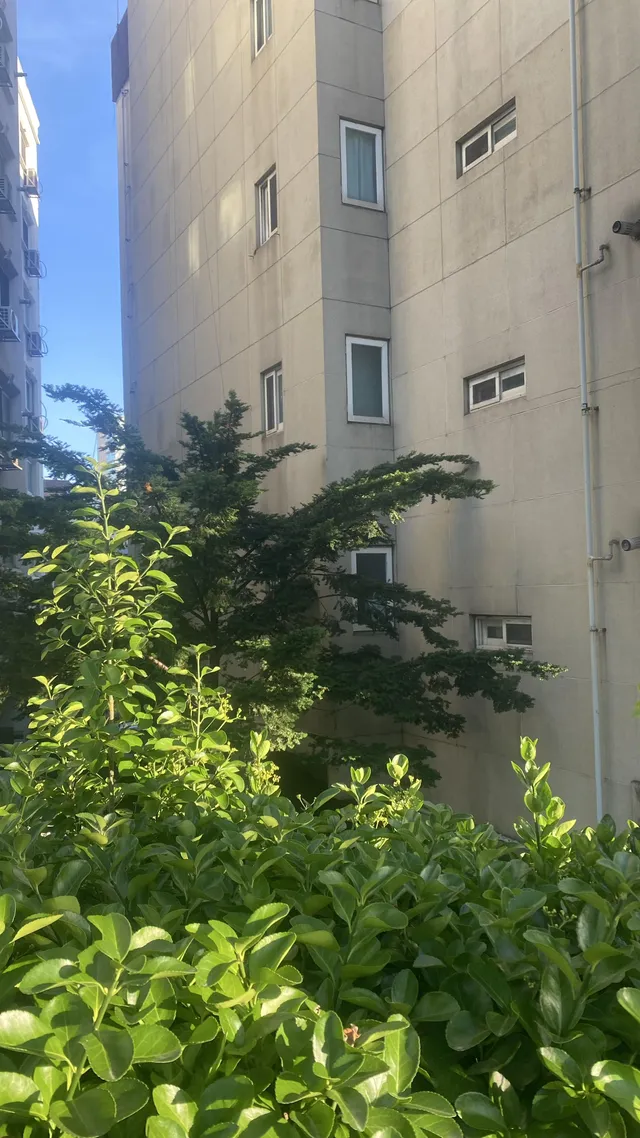 서울 마포구 성산동 50-1 사진 4