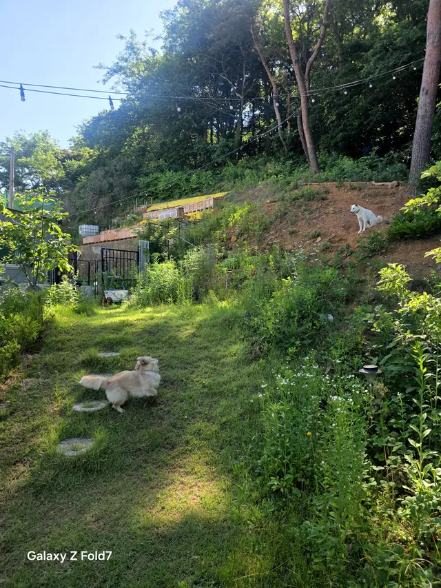 경기 화성시 송산면 삼존리 206-14 사진 4