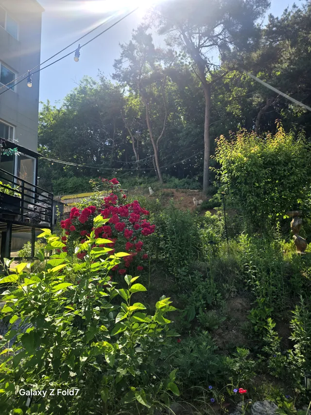 경기 화성시 송산면 삼존리 206-14 사진 2