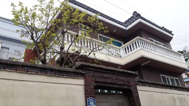 부산 영도구 동삼동 222-77 사진 4