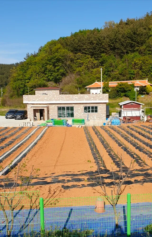 충남 태안군 원북면 신두리 1067-1 사진 2