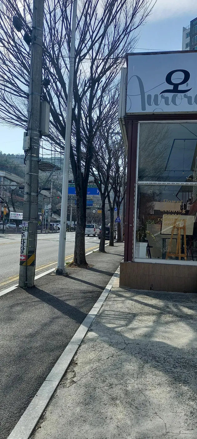 전남 순천시 조례동 1125-8 사진 3