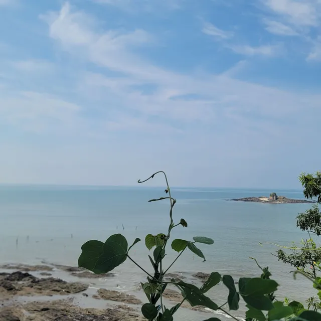 충남 서천군 비인면 장포리 사진 2