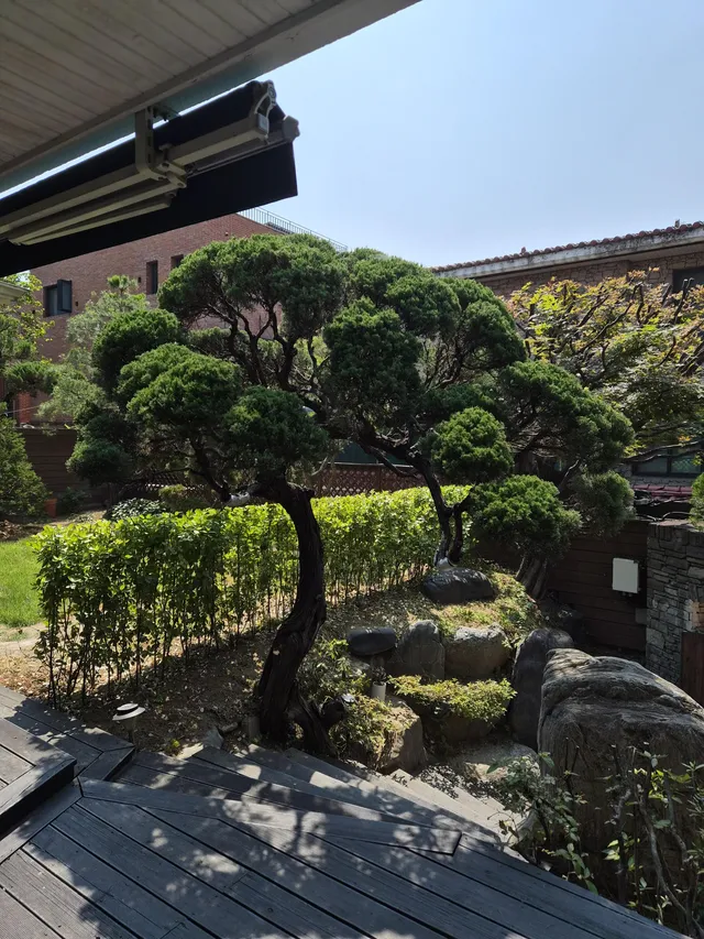 서울 강남구 삼성동 83-8 사진 4