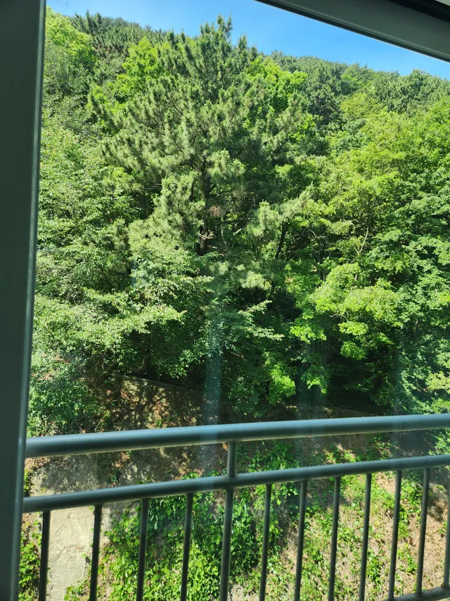 부산 사하구 당리동 534-1 사진 4