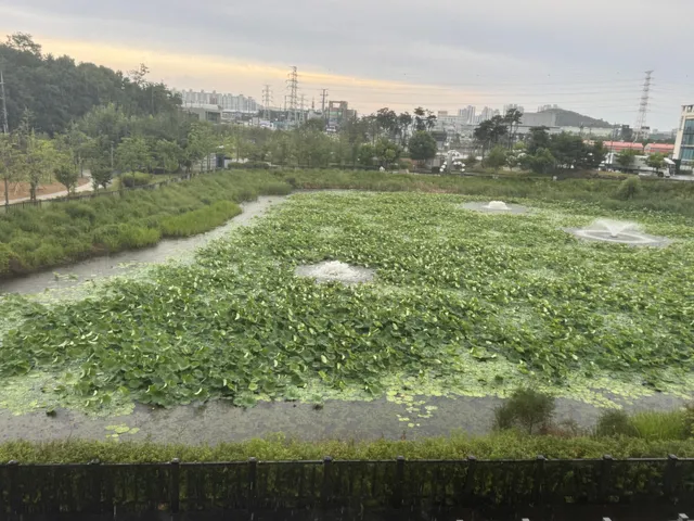 충북 청주시 흥덕구 송절동 781 사진 4