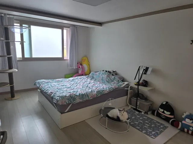 경기 평택시 포승읍 석정리 1201-4 사진 3