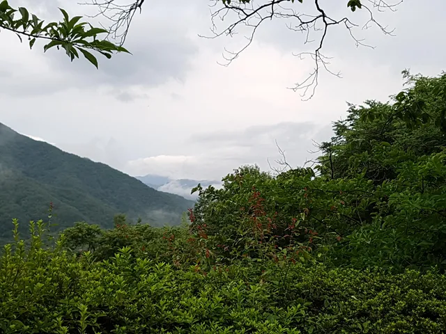전남 구례군 토지면 내동리 360-3 사진 2