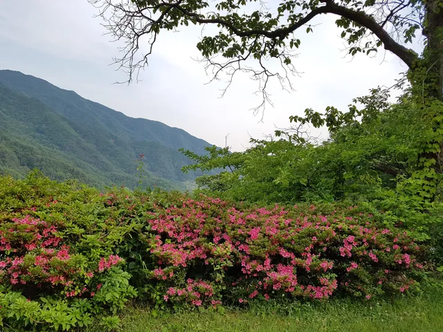 전남 구례군 토지면 내동리 360-3 사진 3