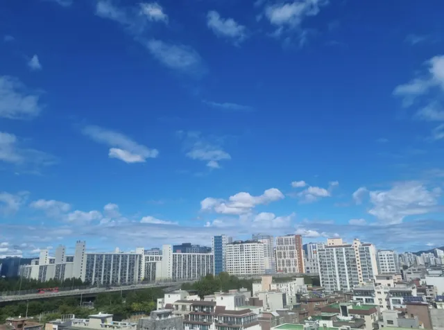 서울 마포구 망원동 516 사진 2