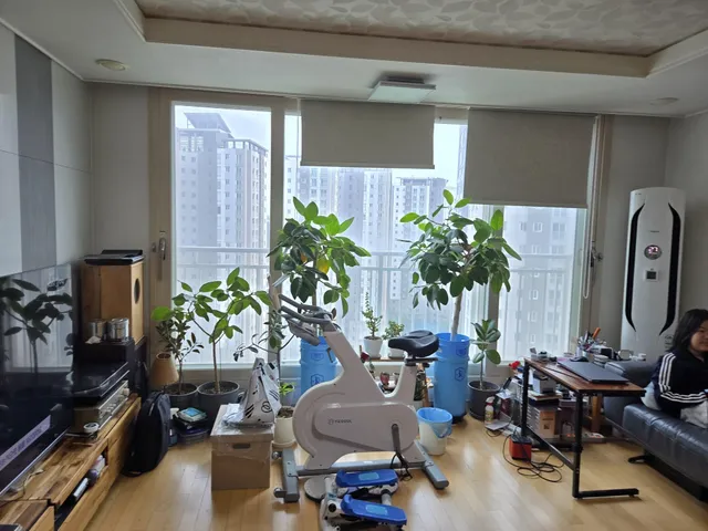 경기 김포시 장기동 2004-4 사진 4