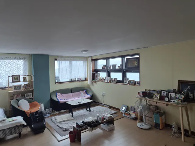 제주특별자치도 서귀포시 상예동 592-1 사진 4