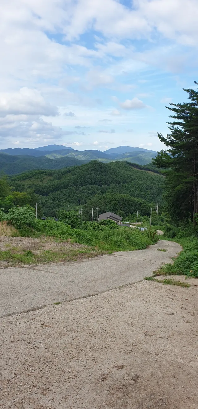 경북 영양군 영양읍 황용리 261 사진 3
