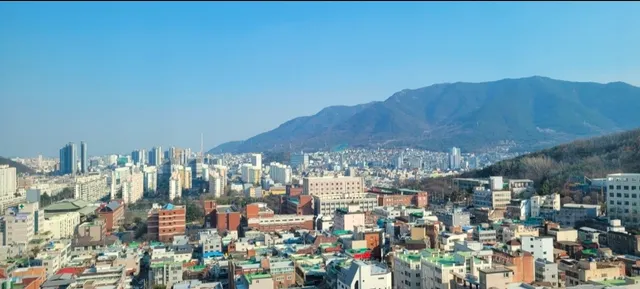 대구 달서구 본동 752 사진 3