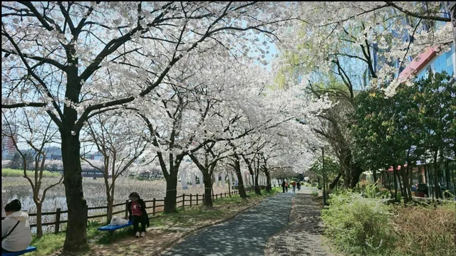 전남광주통합특별시 서구 쌍촌동 891-2 사진 3