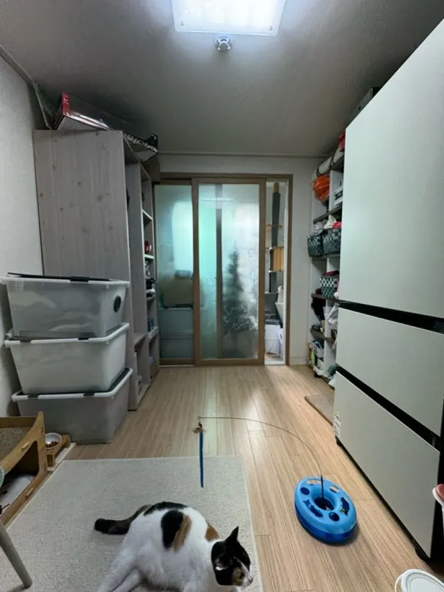 경기 의정부시 호원동 251-2 사진 3