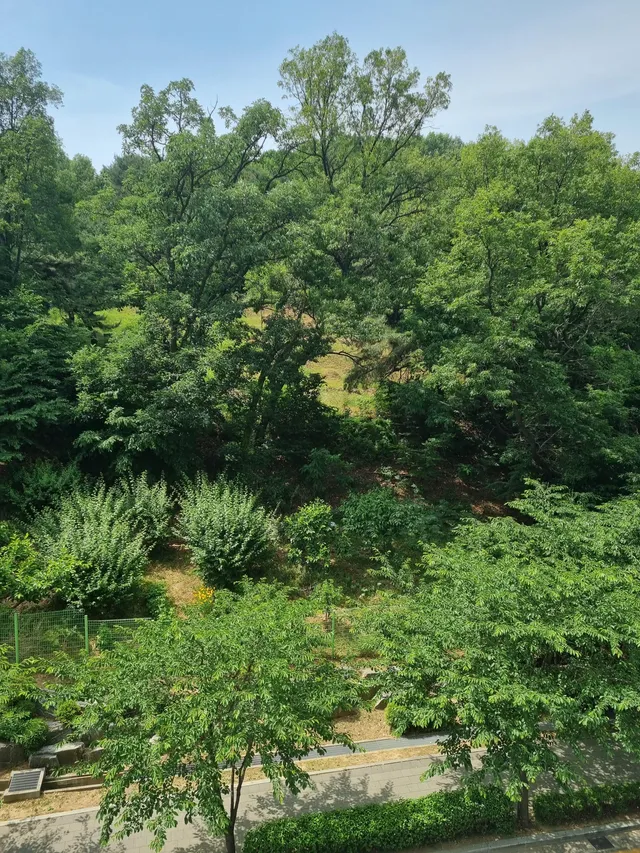 서울 강남구 자곡동 600 사진 3