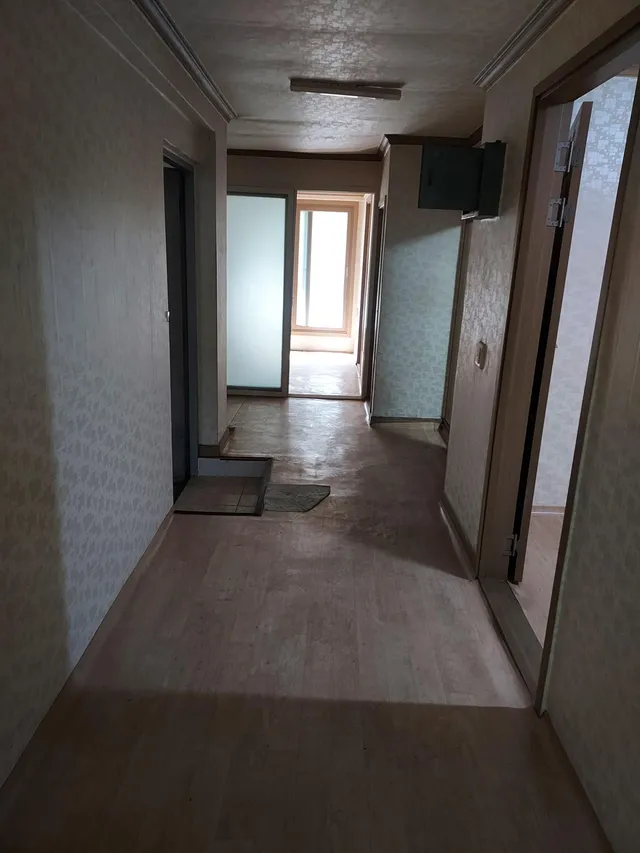 부산 사하구 구평동 117-1 사진 3