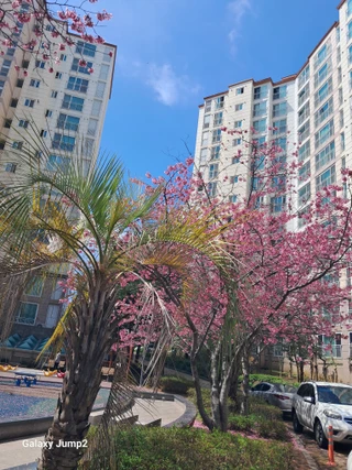 제주특별자치도 제주시 이도이동 아파트 매물