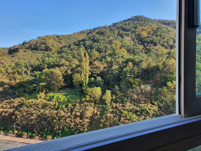 경남 김해시 삼문동 1266 사진 4