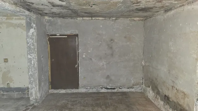 서울 서초구 서초동 1487-9 사진 2