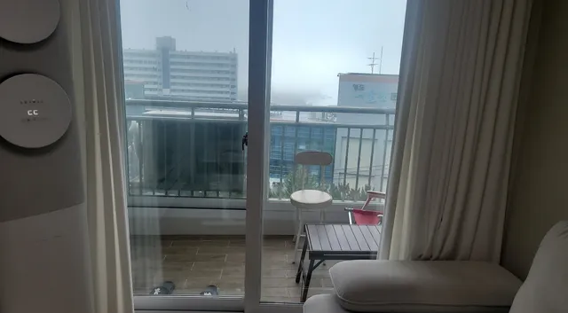 부산 영도구 동삼동 510-2 사진 2