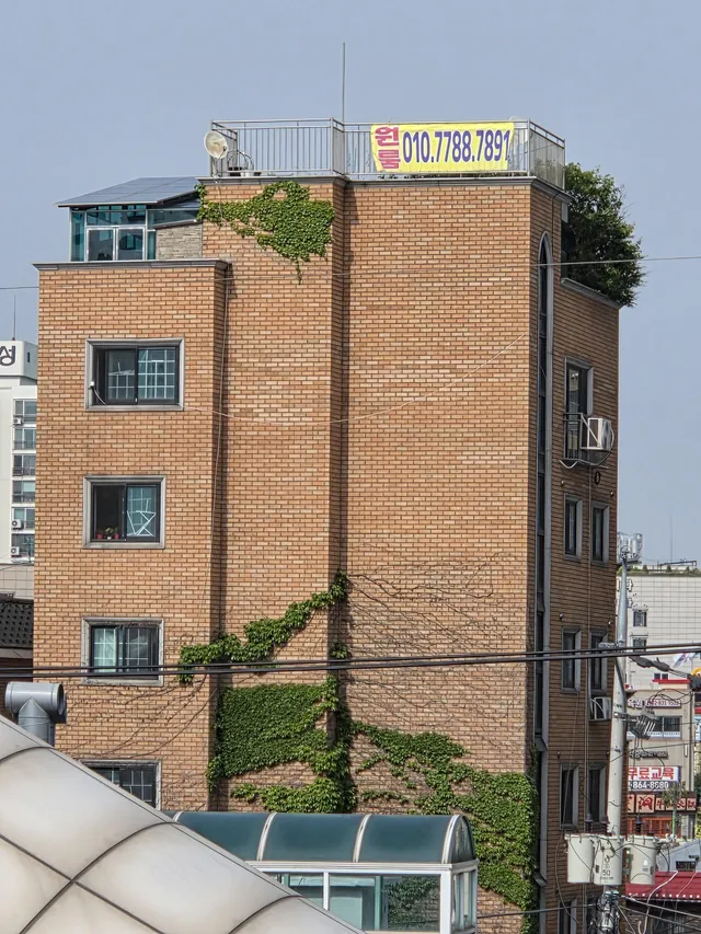 서울 영등포구 대림동 1051-2 사진 3