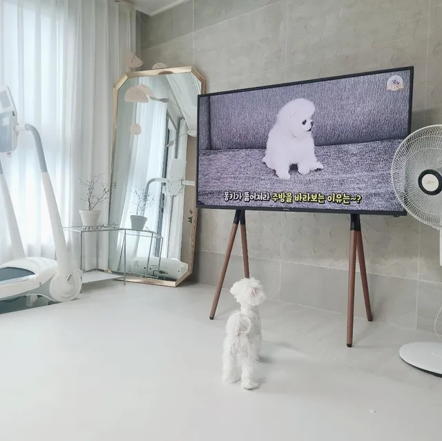 부산 부산진구 전포동 312-31 사진 3