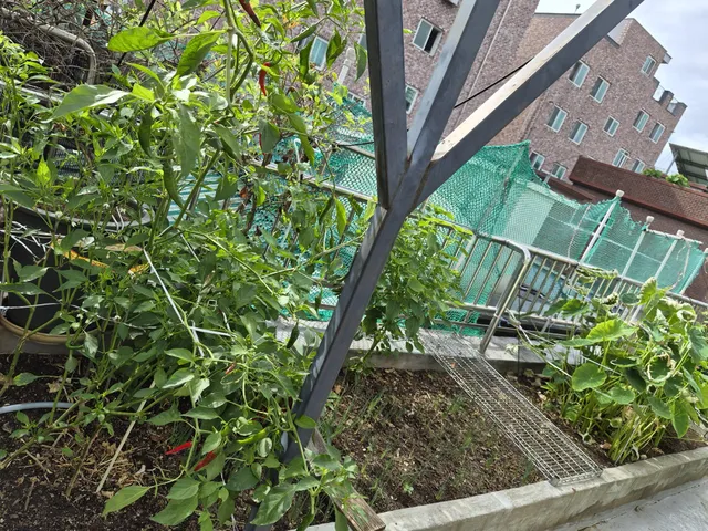 서울 동대문구 장안동 390-22 사진 3