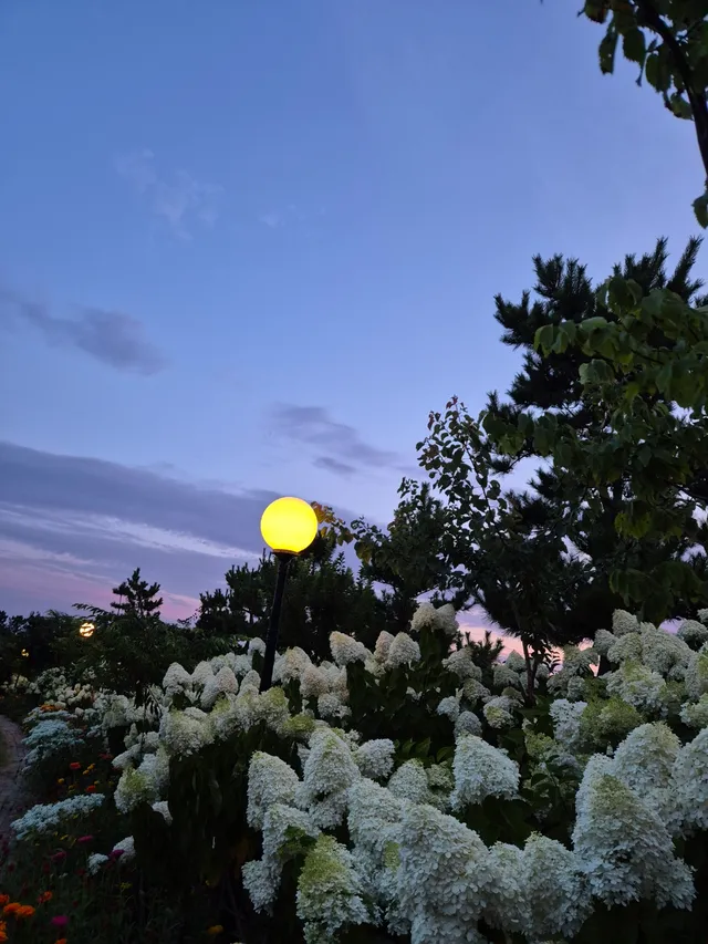울산 울주군 서생면 대송리 188-8 사진 2