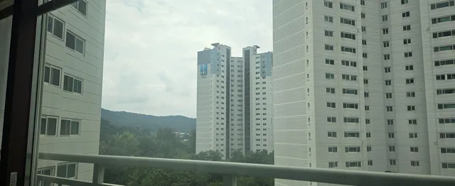 경기 과천시 원문동 4 사진 2