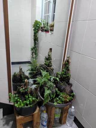 광주 북구 오치동 원룸 매물
