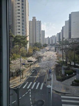 서울 동작구 상도동 원룸 매물
