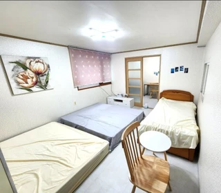 경북 포항시 북구 죽도동 투룸 매물