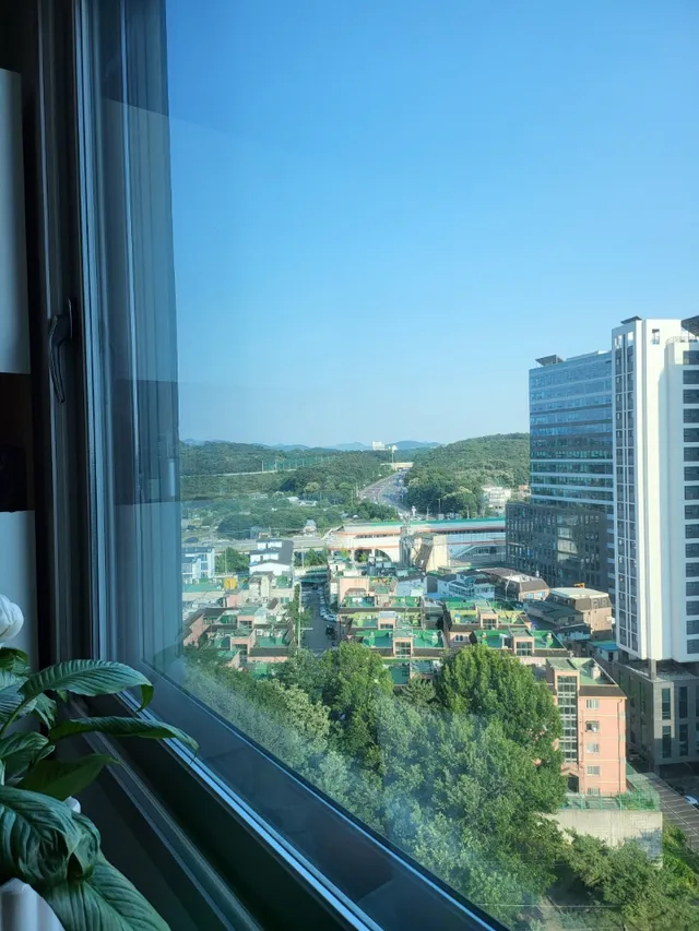경기 고양시 덕양구 성사동 405-8 사진 4
