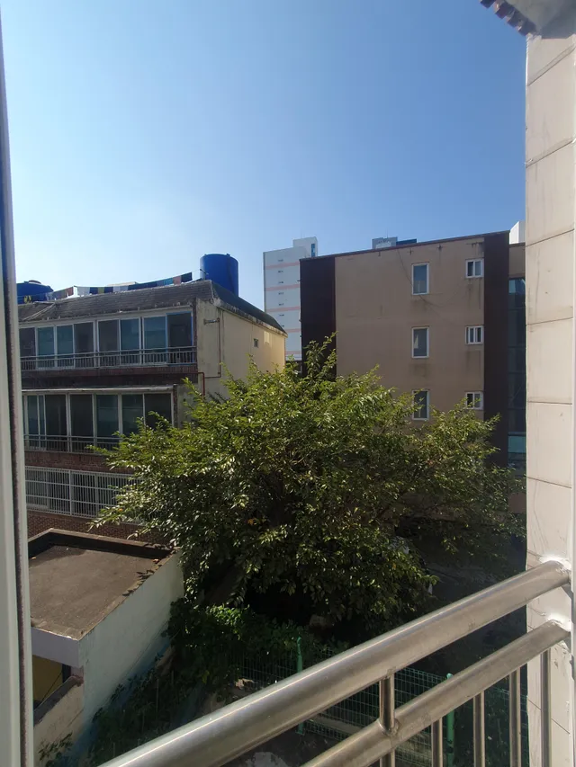 부산 금정구 청룡동 42-2 사진 3