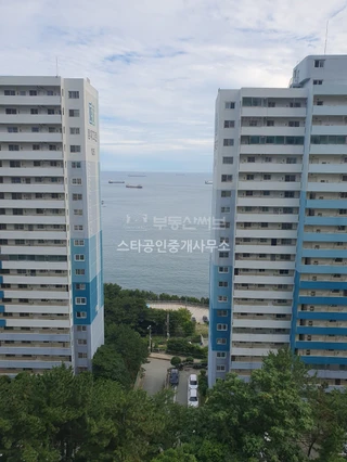 부산 영도구 동삼동 아파트 매물
