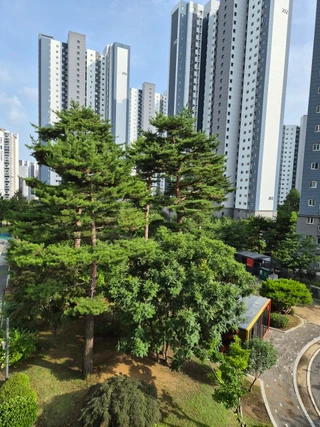 충남 천안시 서북구 백석동 아파트 매물