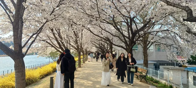 대구 동구 검사동 1022-26 사진 3