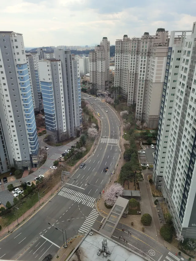 전남광주통합특별시 북구 신용동 651 사진 4
