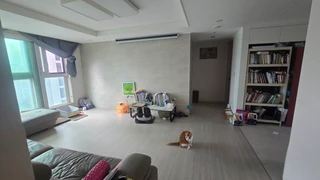 경기 안양시 동안구 비산동 아파트 매물