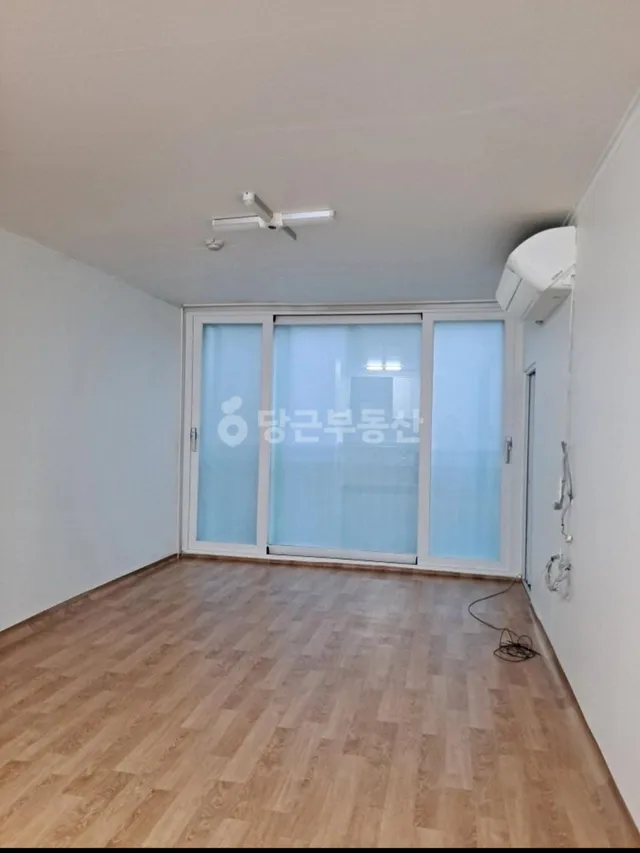 강원특별자치도 삼척시 정상동 356-2 사진 3