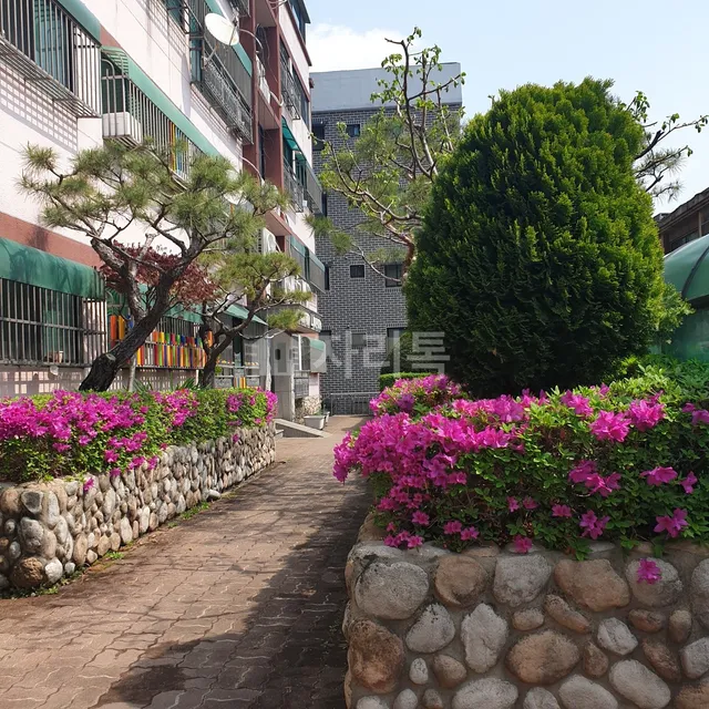 서울 강서구 화곡동 350-34 사진 3
