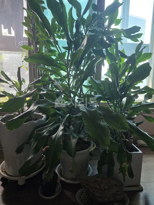 경기 용인시 기흥구 영덕동 1124-18 대표 사진