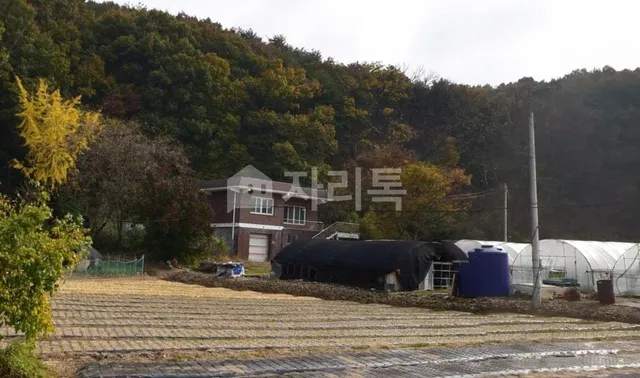 충남 예산군 예산읍 간양리 224-1 대표 사진