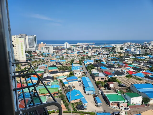 강원특별자치도 강릉시 주문진읍 교항리 240-11 사진 2