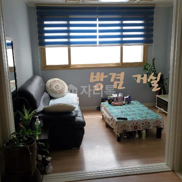 대구 서구 비산동 267-12 사진 2