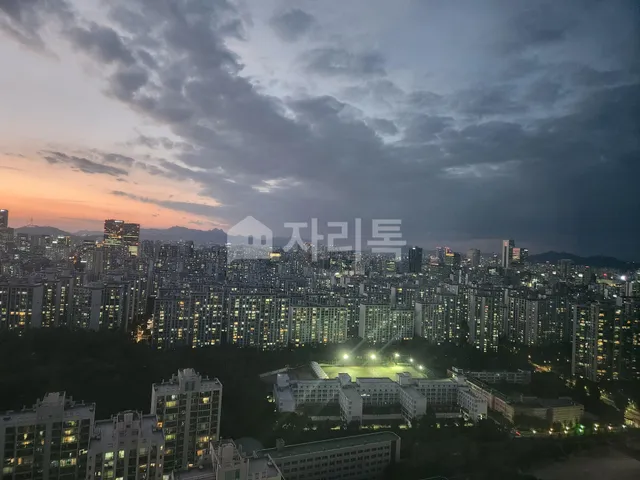 서울 강남구 도곡동 467-7 대표 사진