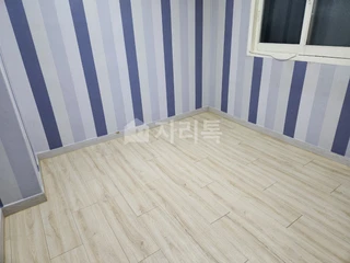 경북 포항시 북구 용흥동 아파트 매물
