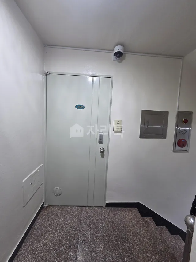 서울 강남구 신사동 555 대표 사진